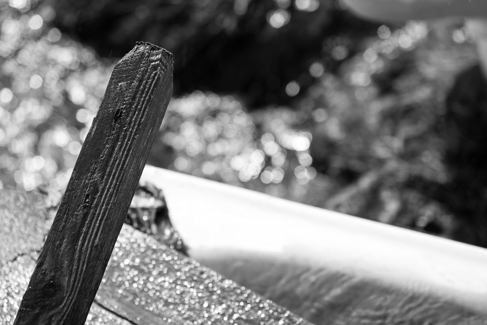 Natur 2012 - 004 - Zaunpfahl