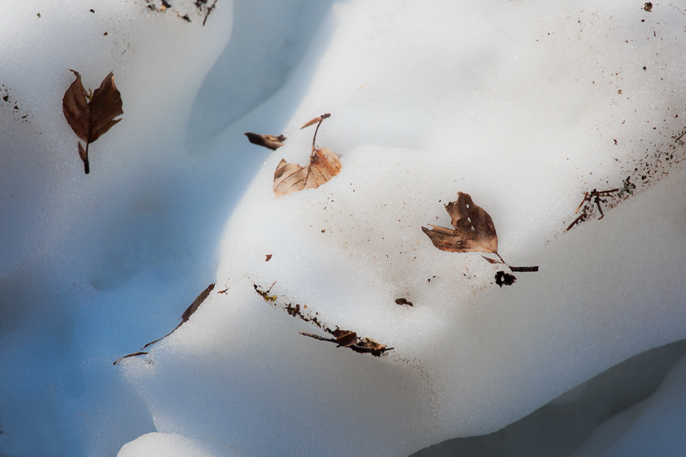 Natur 2012 - 005 - Schneegesicht