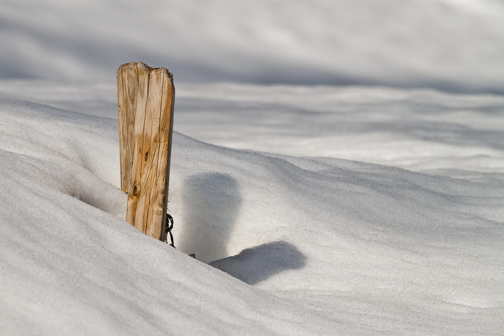 Natur 2012 - 014 - Eingeschneit
