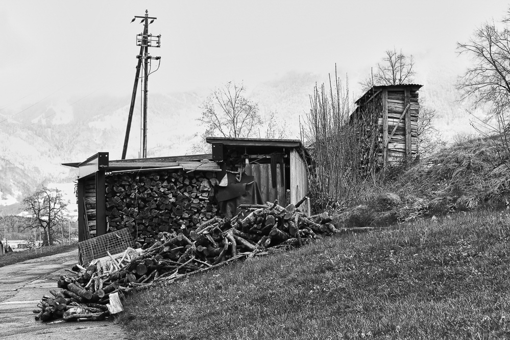 Natur 2012 - 022 - Holz