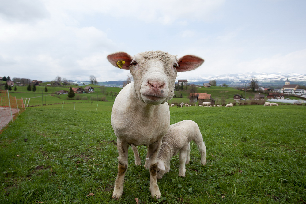 Natur 2012 - 028 - Weitwinkel