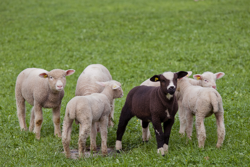 Natur 2012 - 029 - Kindergarten