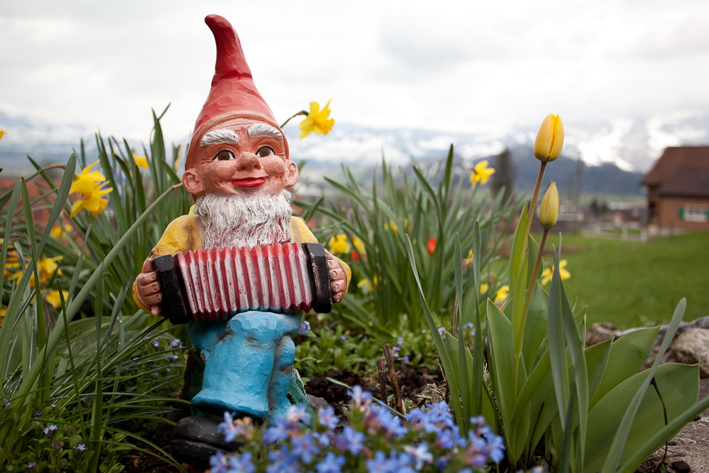 Natur 2012 - 030 - Gartenmusikant
