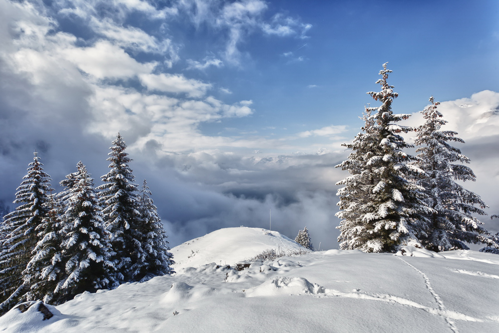 Natur 001 - Nochmals oben im Schnee