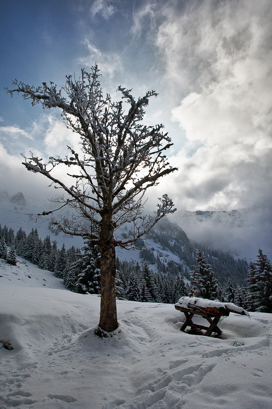 Natur 005 - Sitzplatz