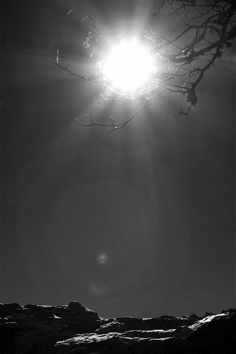 Nebel - ©MD - 007 - Mitten ins Gesicht