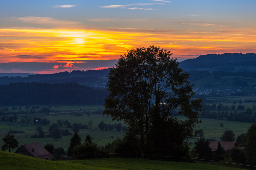 neowise_005_Sonnenuntergang Richtung Zuerichsee