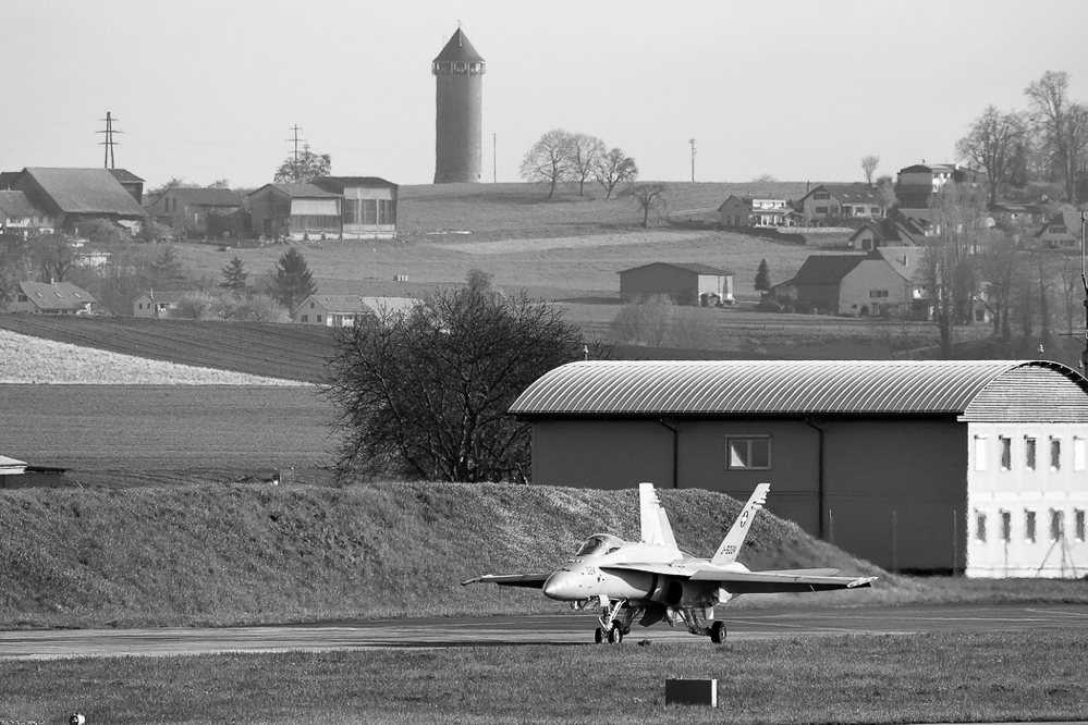 Payerne - 003 - Early Bird