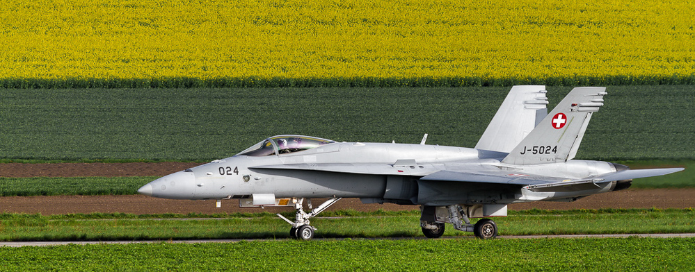 Payerne - 005 - Ausflug ins Grüne