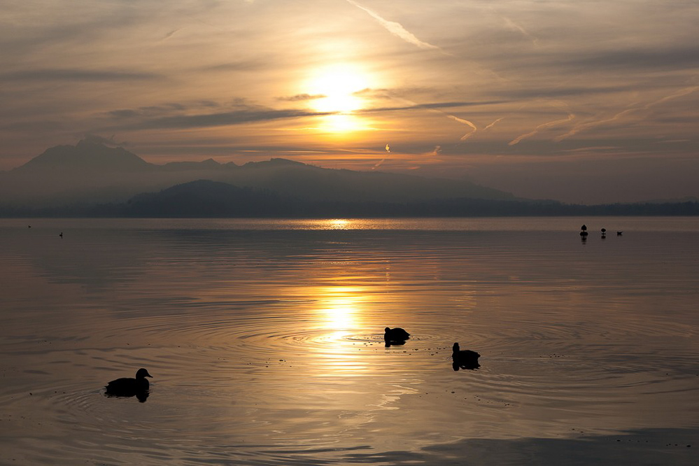 pilatus_036