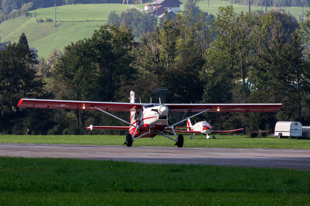 ps_mollis_18_013