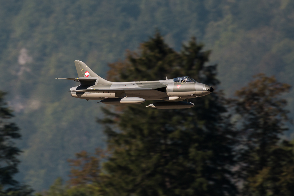 ps_mollis_18_042