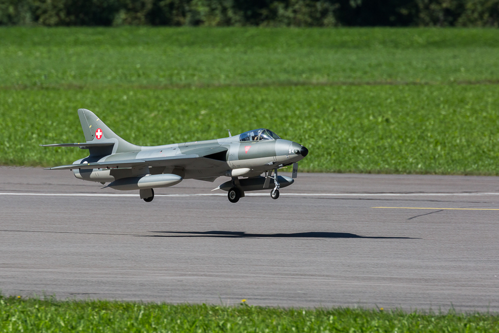 ps_mollis_18_043