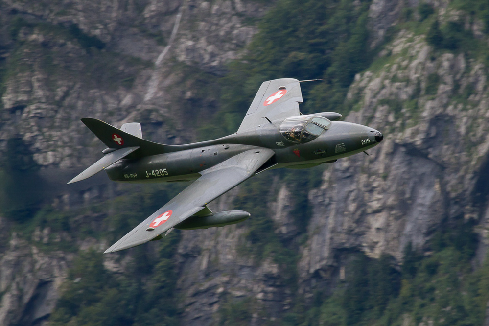 PS-Mollis - 077 - Hunter