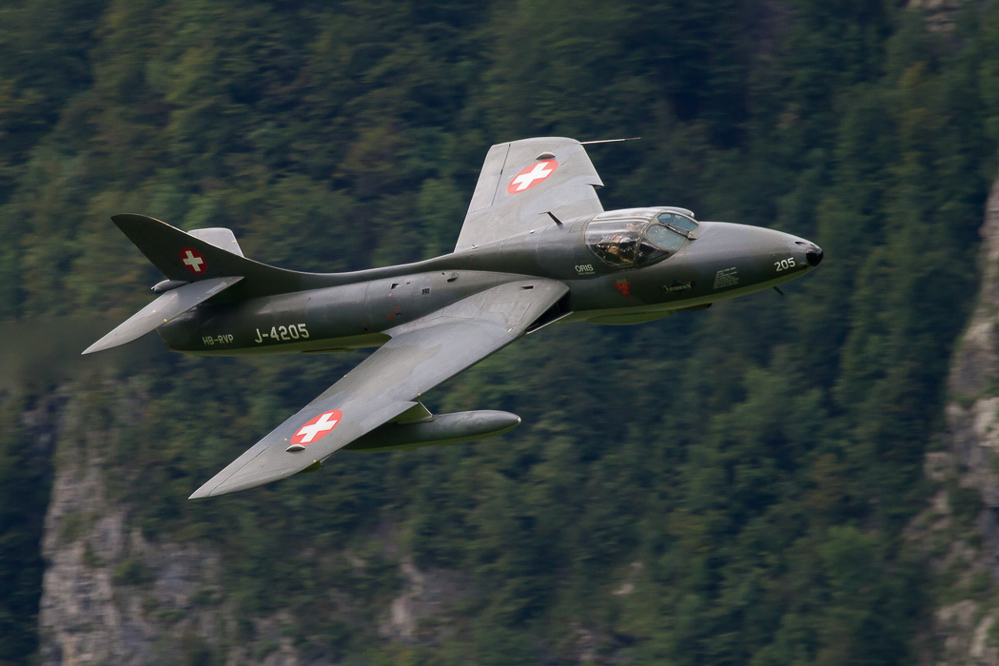 PS-Mollis - 078 - Hunter