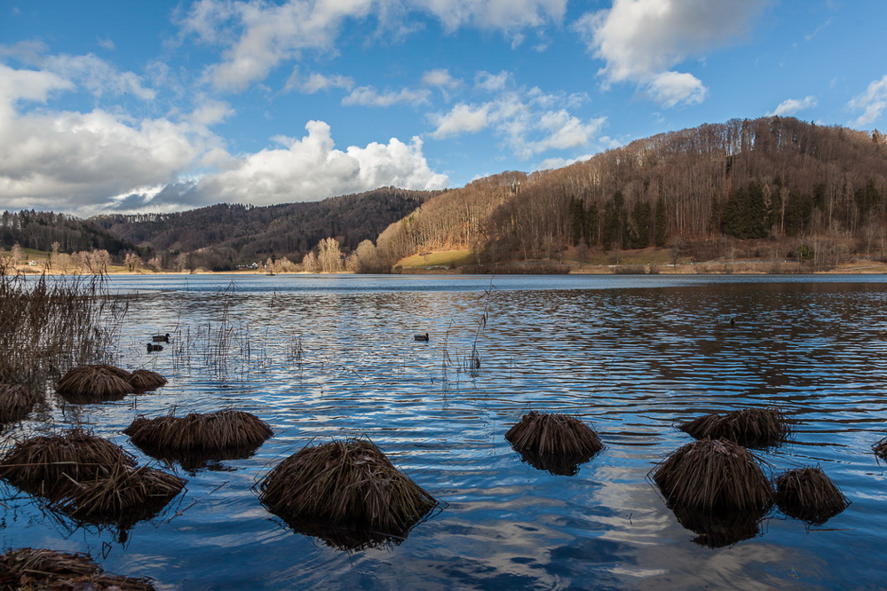 010_am Türlersee
