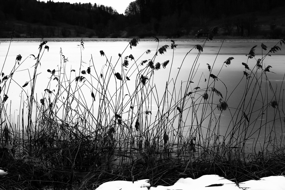 012_am Türlersee