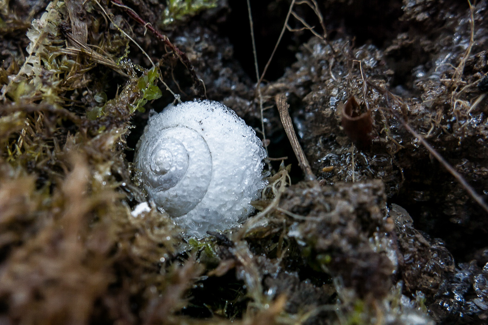 018_Winterschlaf