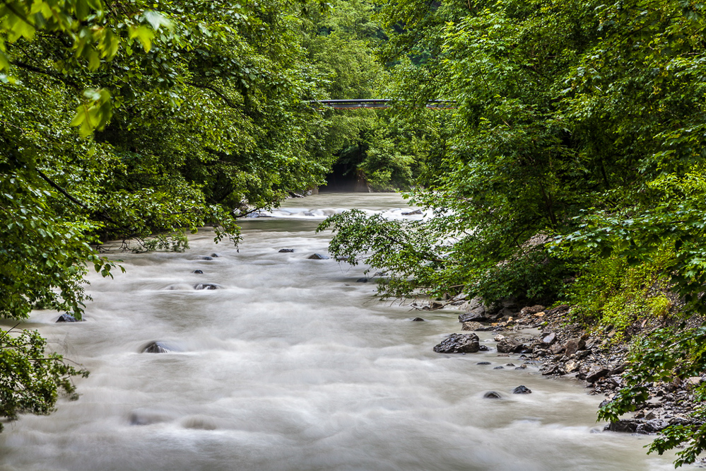 Regensommer 015 - Linth im Tierfehd