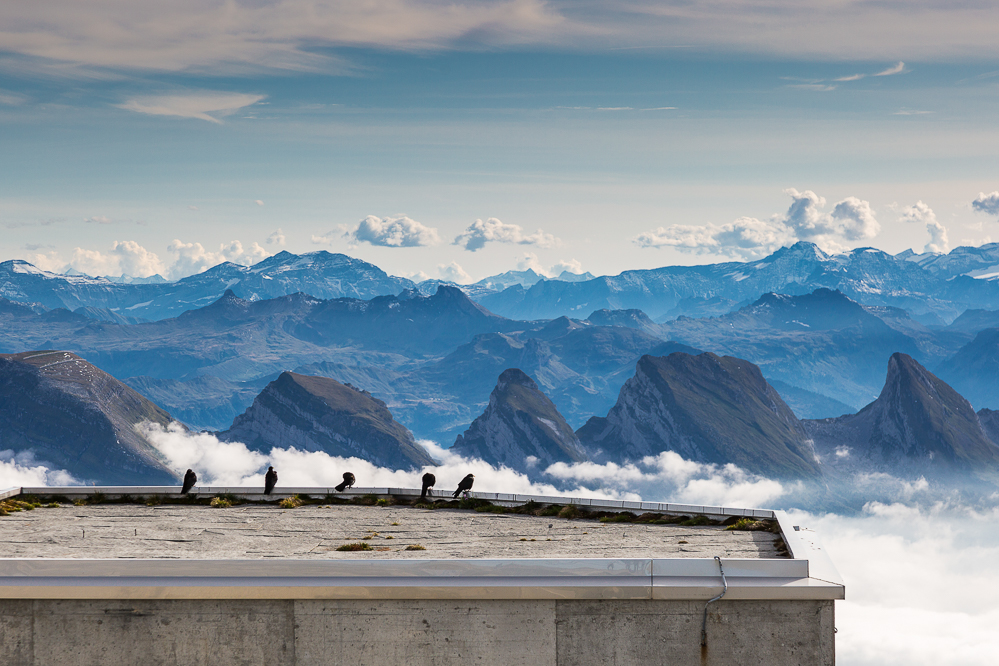 saentis_010
