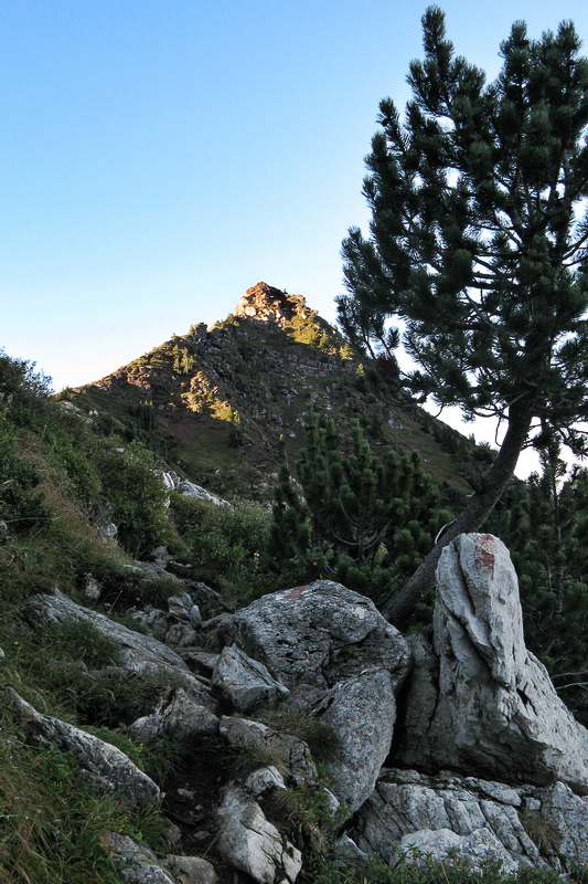 Schiltgebiet - 005 - Der Schafleger im Morgenlicht