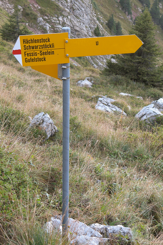 Schiltgebiet - 006 - Wegweiser zum selber ausfüllen