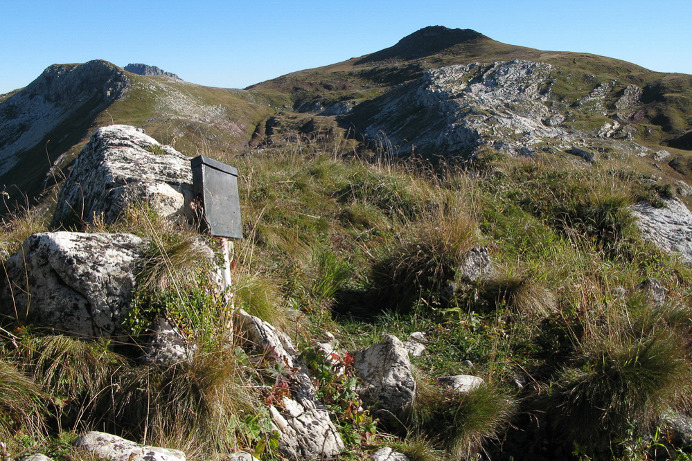 Schiltgebiet - 008 - Auf dem Hächlenstock
