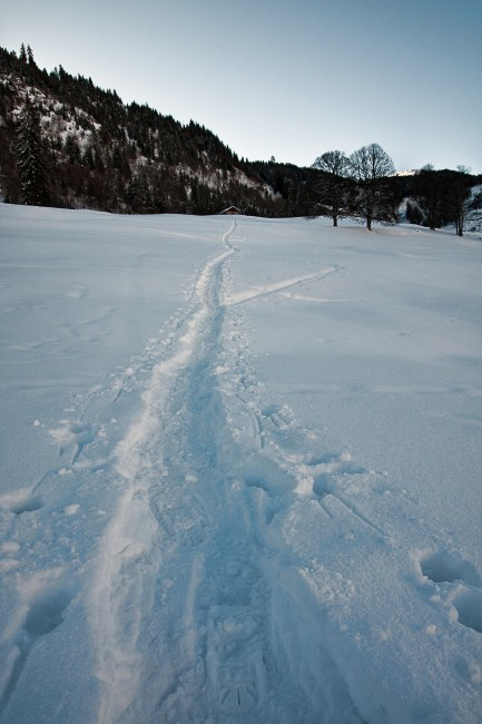 Schünau 002 - Spur in Richtung Auen