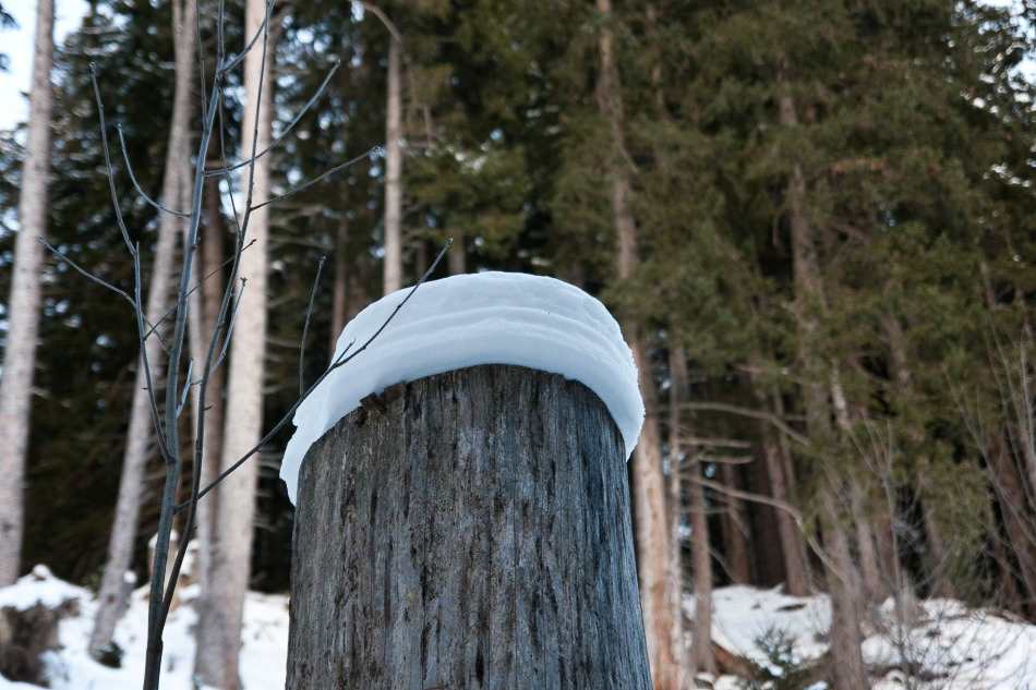 Schünau 005 - Schneehut