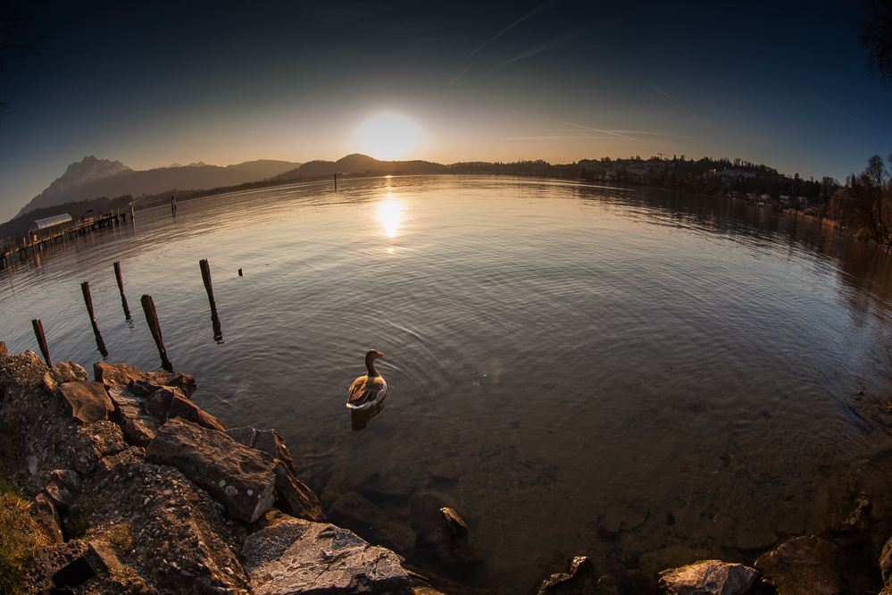010 - Sonnenuntergang im Lido in Luzern