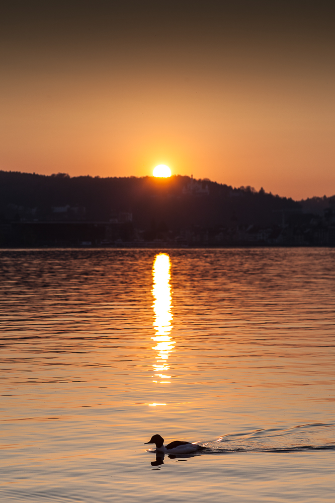 013 - Sonnenuntergang im Lido in Luzern
