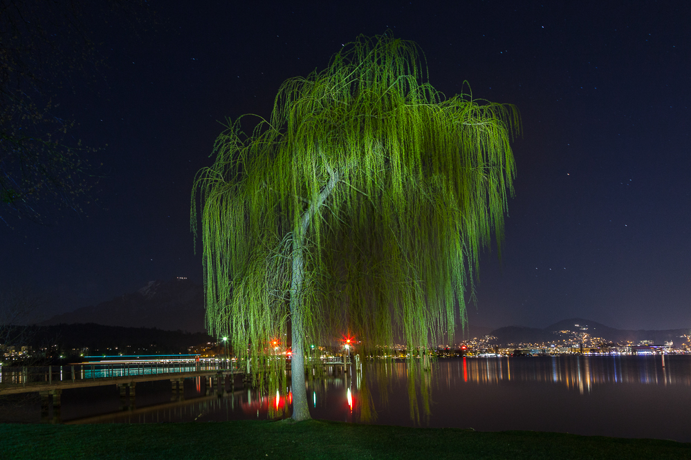 016 - Nightshooting im Lido mit etwas Fremdlicht