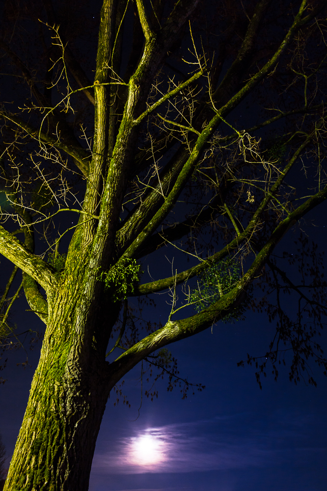 017 - Nightshooting im Lido