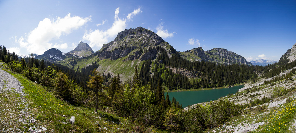 014 - Sommer 2013 - Pano Spaneggsee