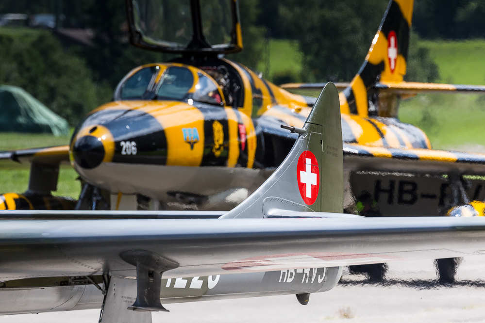 sst2019_009