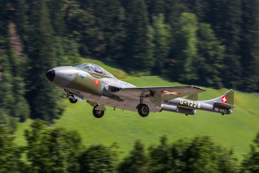 sst2019_010