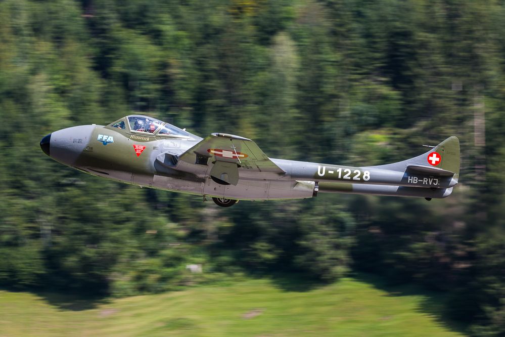 sst2019_011
