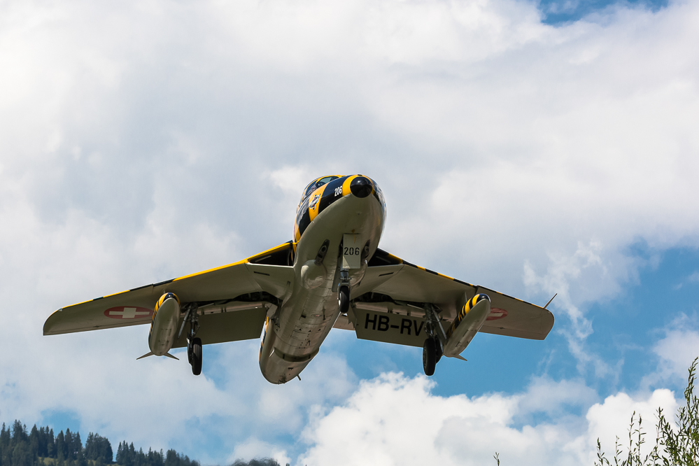 sst2019_021