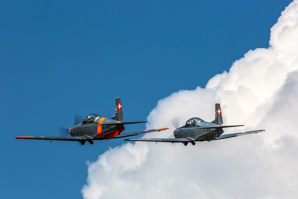 sst2019_029