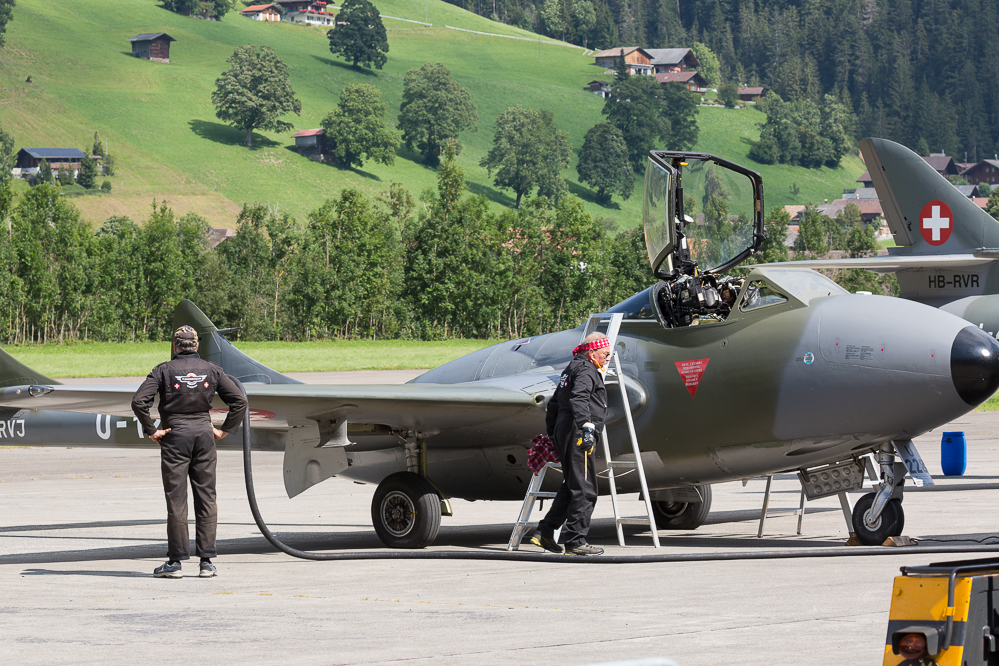 sst2019_036