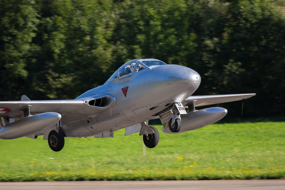 sst2019_075