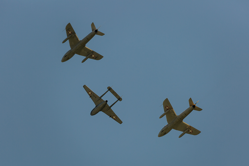 sst2019_099