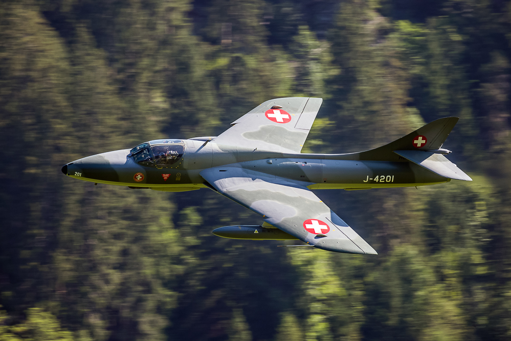 sst2019_100