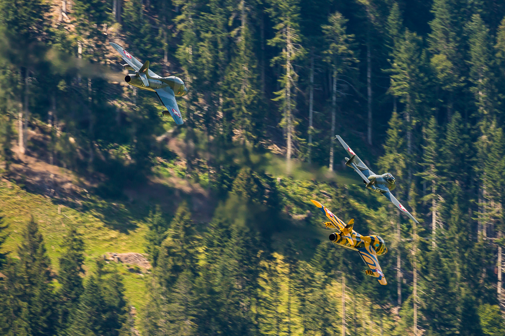 sst2019_116