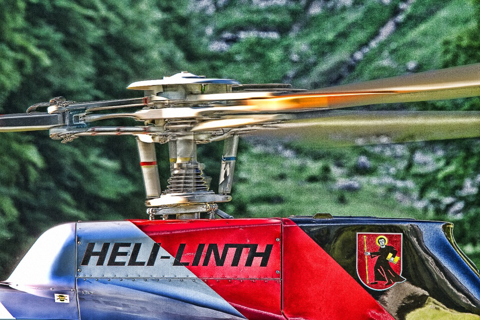 Stein - 022