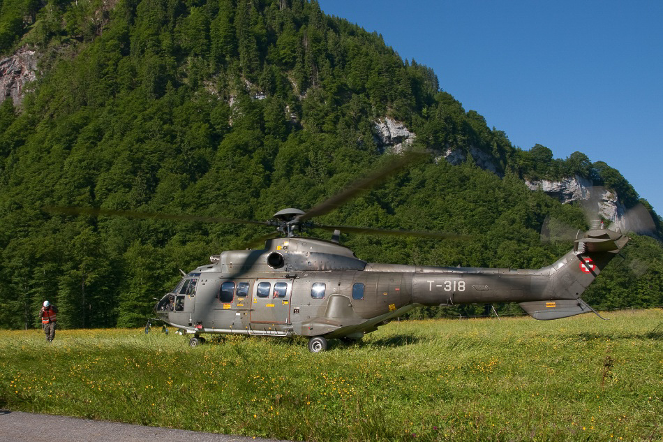 Stein - 035