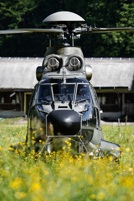 Stein - 054