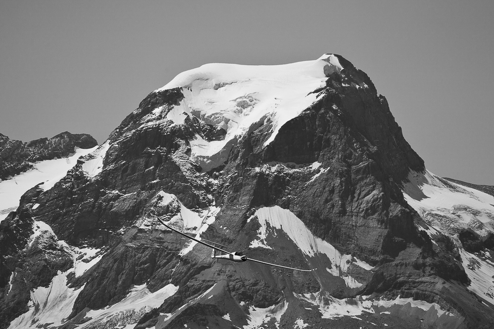 stein12_020
