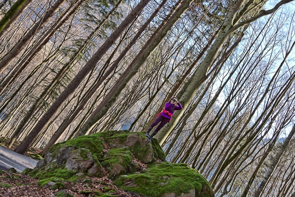 ss-002 - Im Eichwald