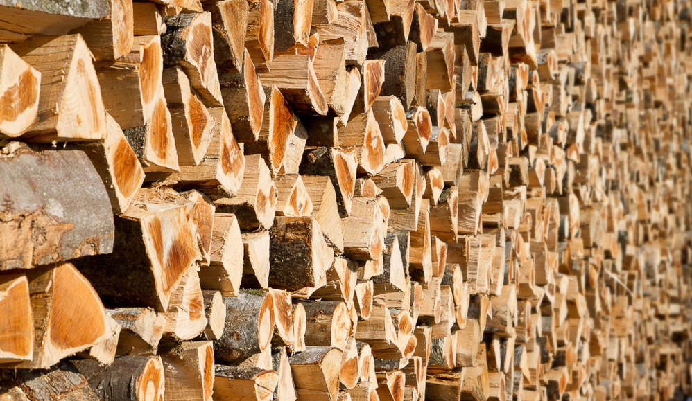 ss-014 - Holz